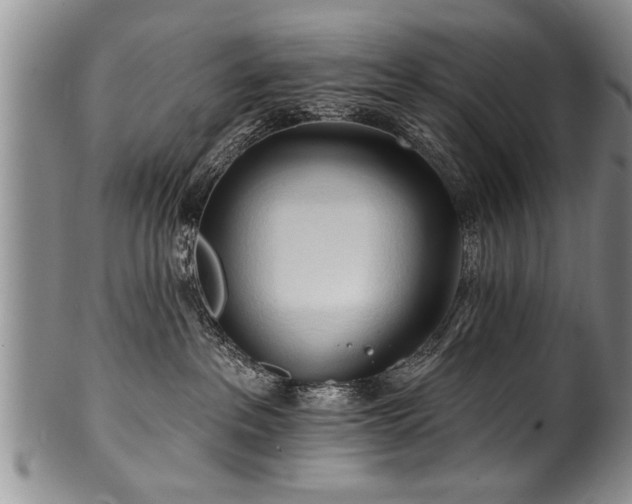 X0000100780237200806261636