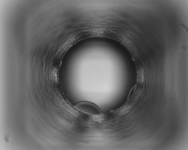 X0000100780238200806261636