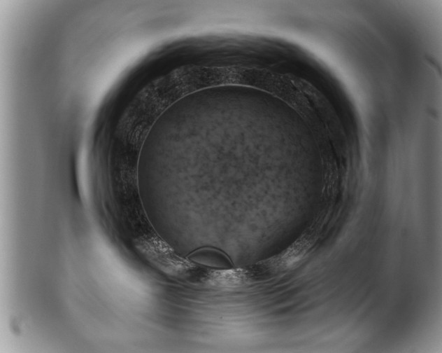 X0000100780239200806261636