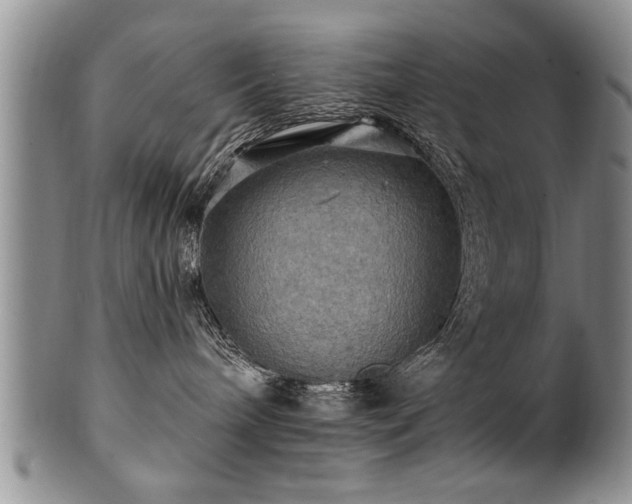 X0000100780240200806261636