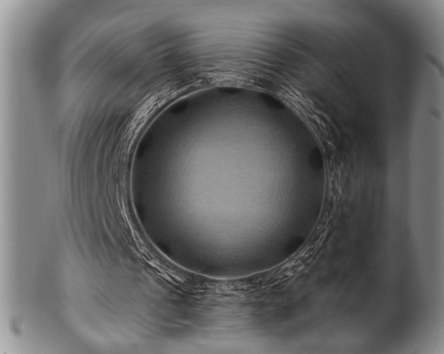 X0000100780241200806261635