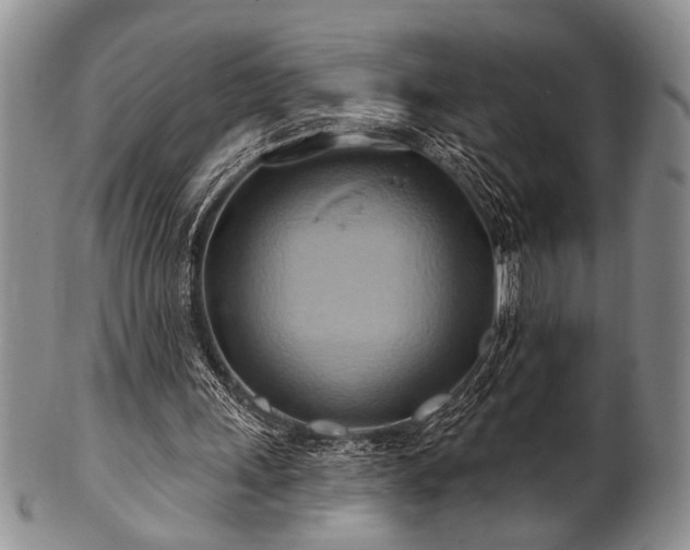 X0000100780243200806261635