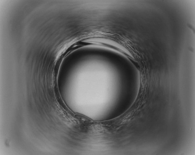 X0000100780244200806261635