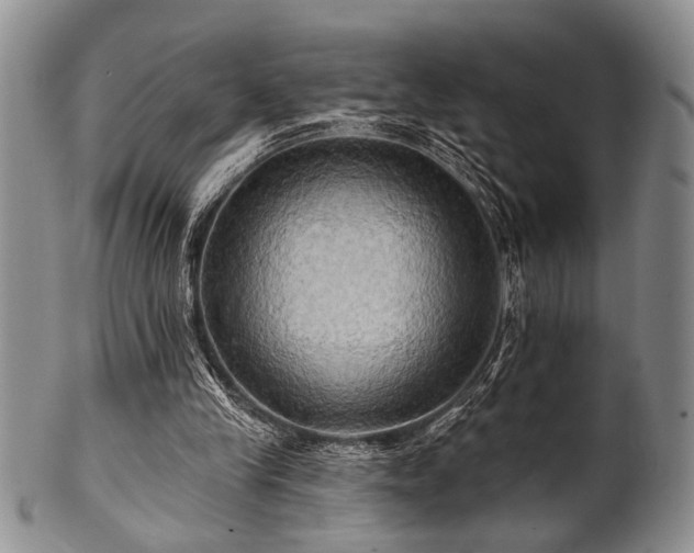 X0000100780245200806261635