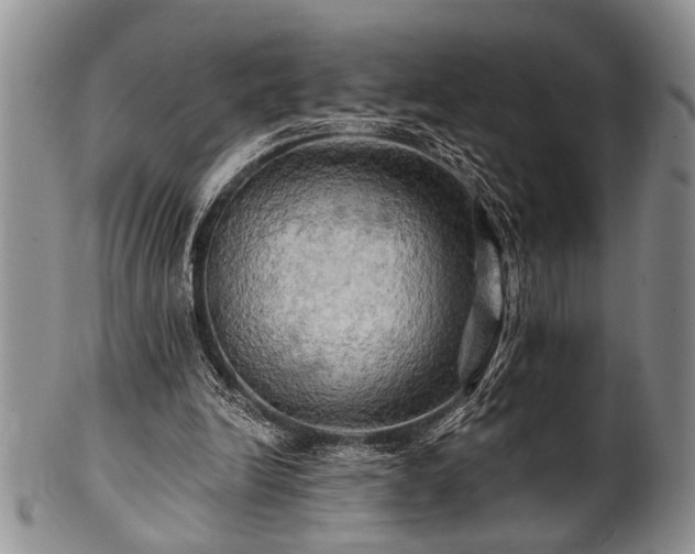 X0000100780246200806261635