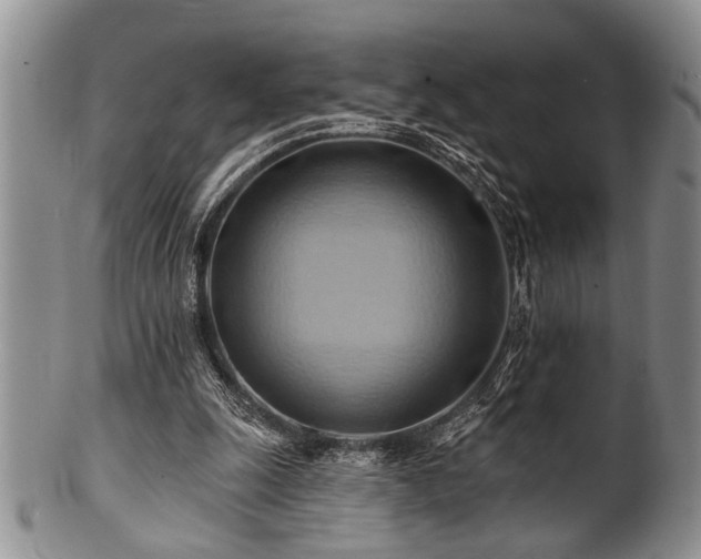 X0000100780247200806261635