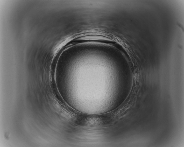 X0000100780248200806261635