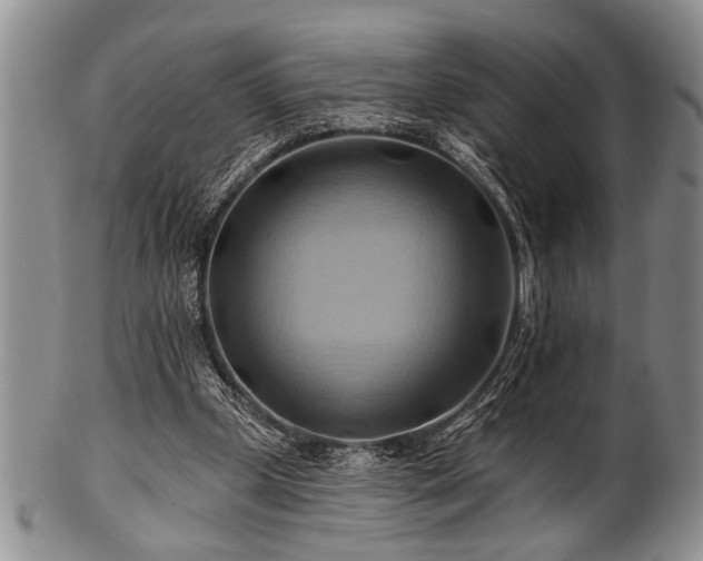 X0000100780249200806261635