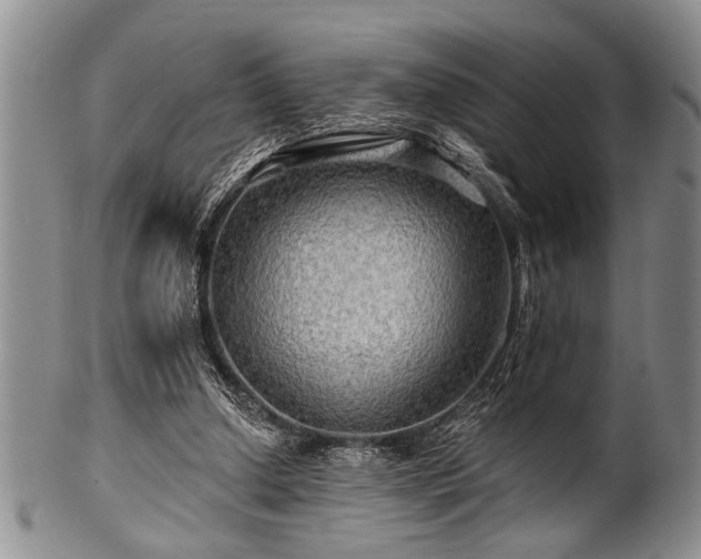 X0000100780250200806261635