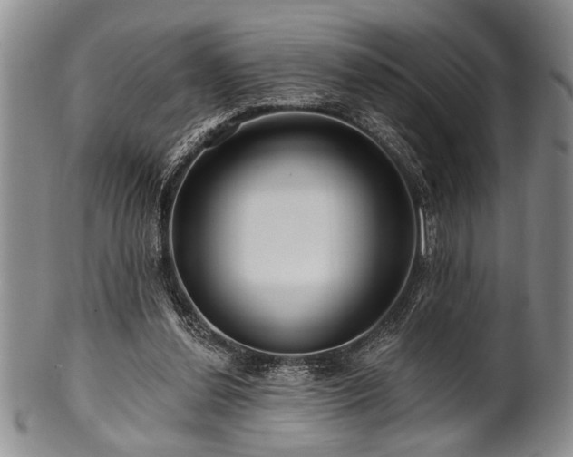 X0000100780252200806261635