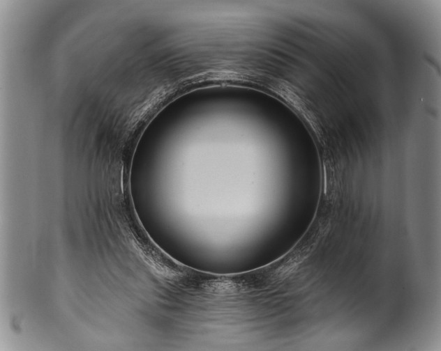 X0000100780253200806261635