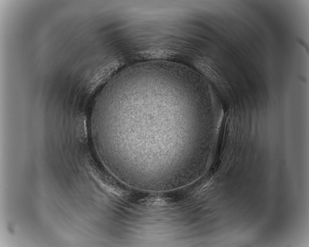 X0000100780254200806261635