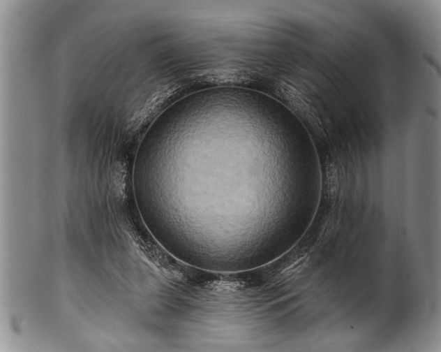 X0000100780255200806261636