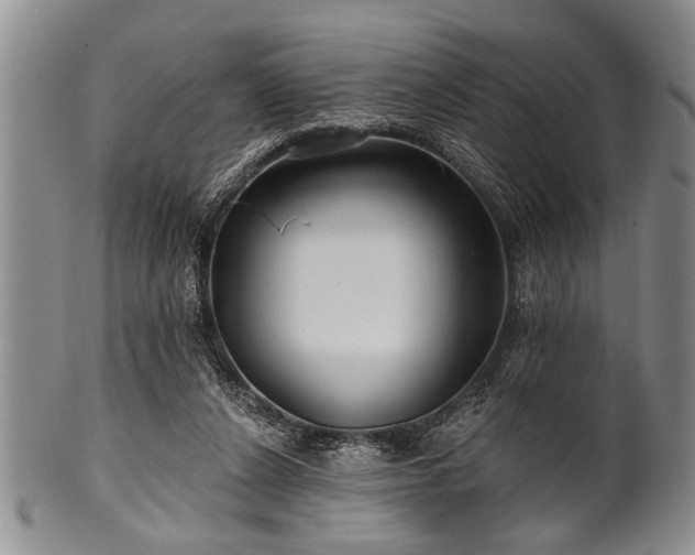 X0000100780256200806261636