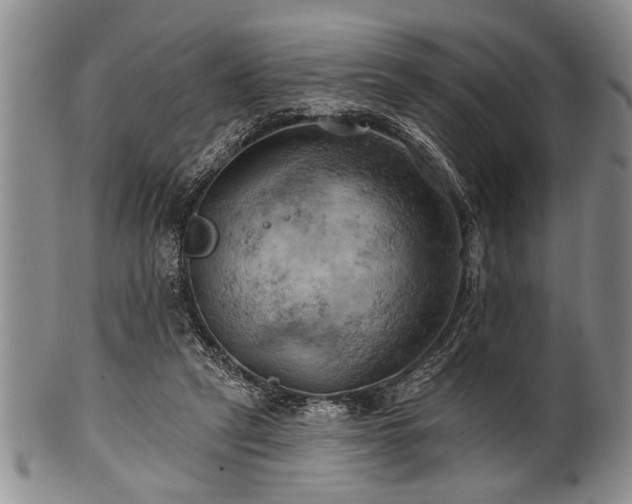 X0000100780257200806261636