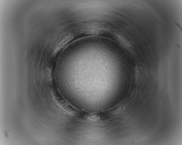 X0000100780258200806261636