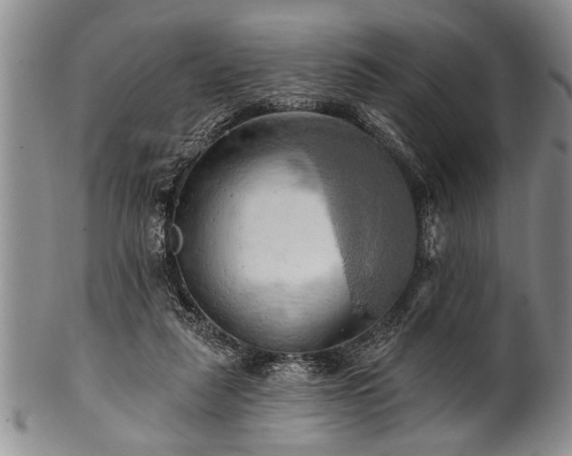 X0000100780259200806261636