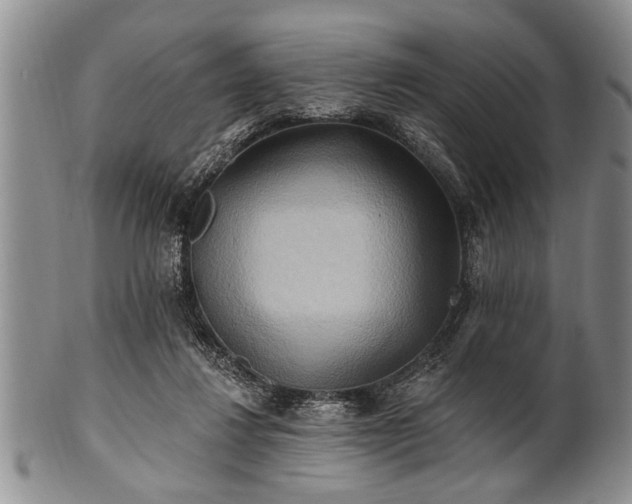 X0000100780260200806261636