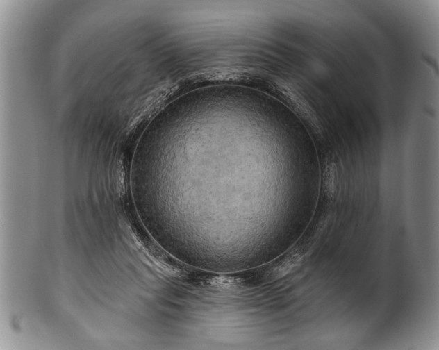 X0000100780261200806261636