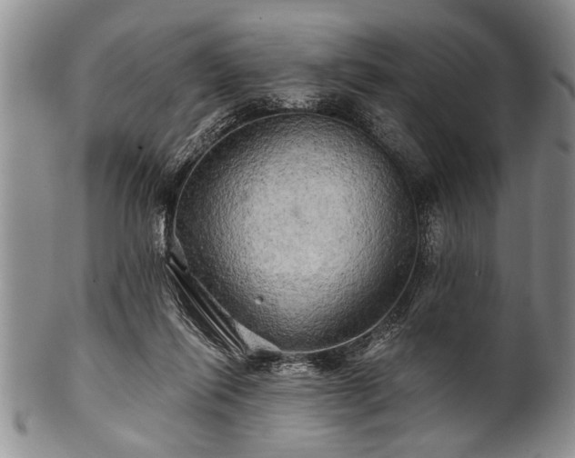 X0000100780262200806261636