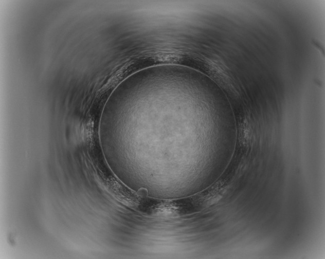 X0000100780263200806261636