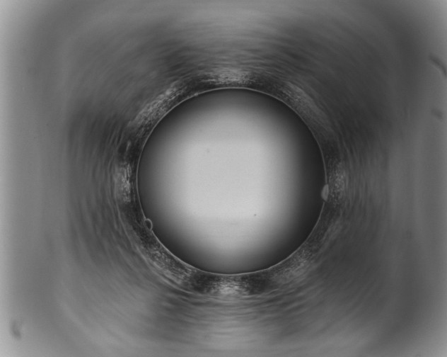 X0000100780264200806261636