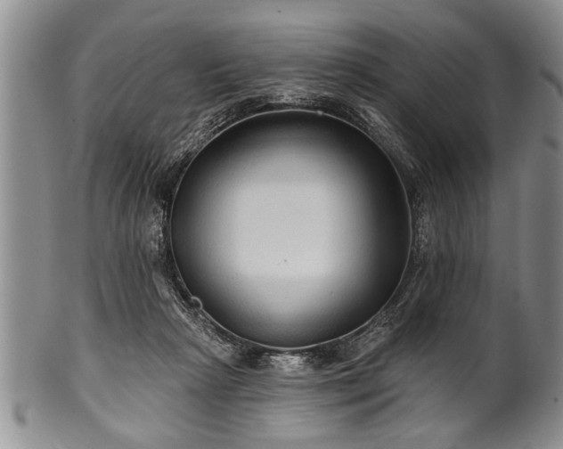 X0000100780265200806261636