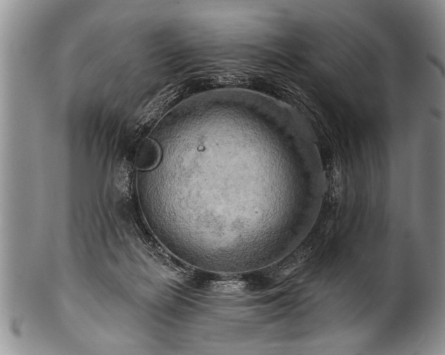 X0000100780266200806261636