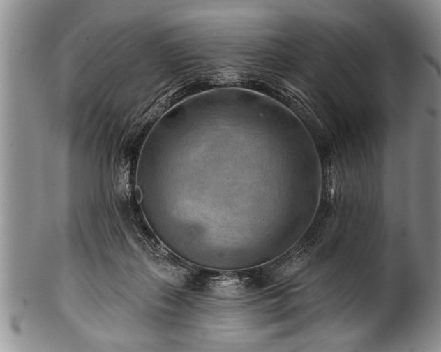 X0000100780267200806261636