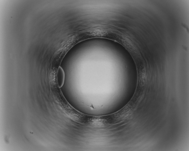 X0000100780268200806261636