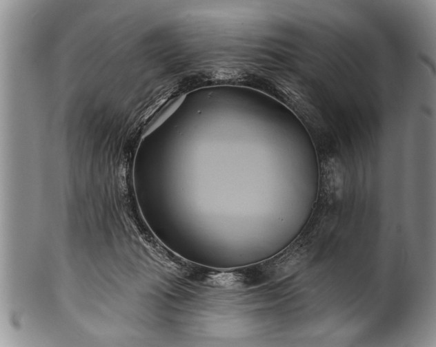 X0000100780269200806261636