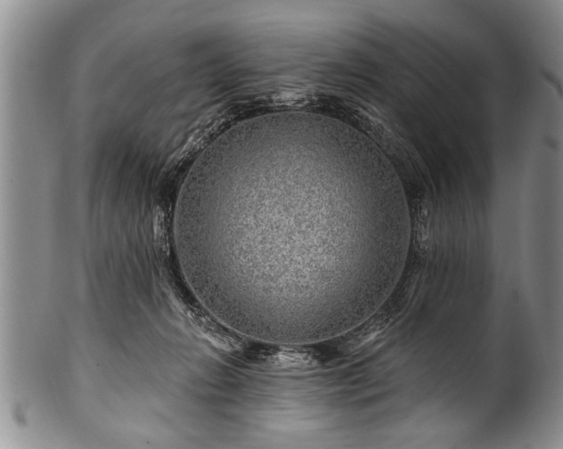 X0000100780270200806261636