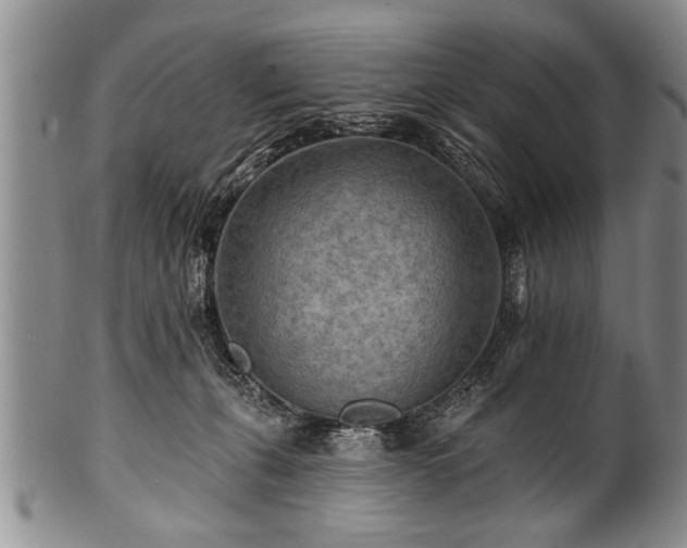 X0000100780271200806261636