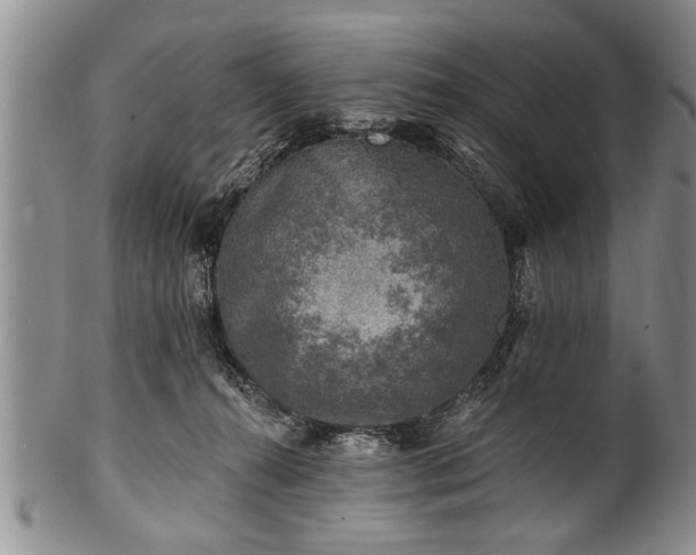 X0000100780272200806261636