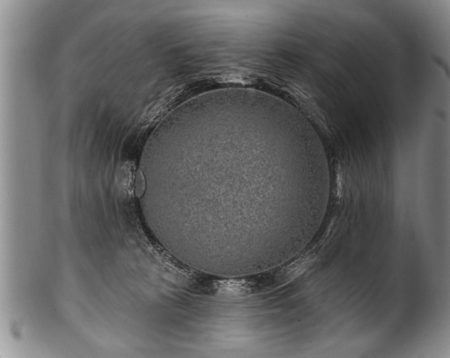 X0000100780273200806261636