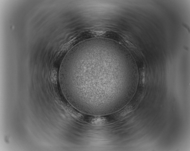 X0000100780274200806261636