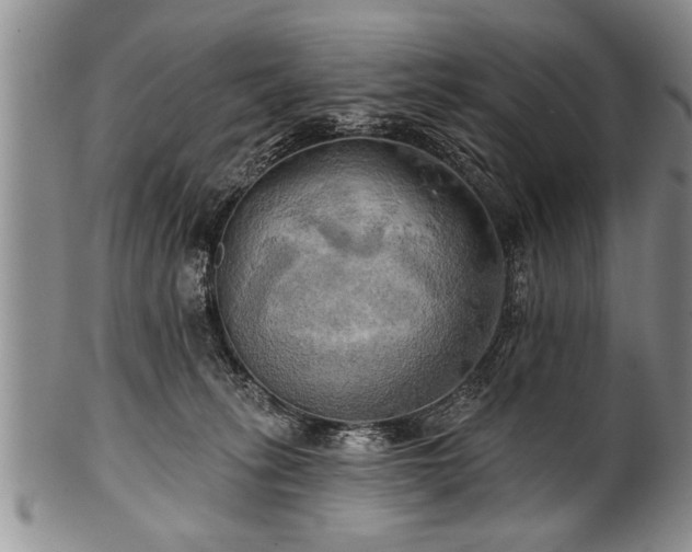 X0000100780275200806261636