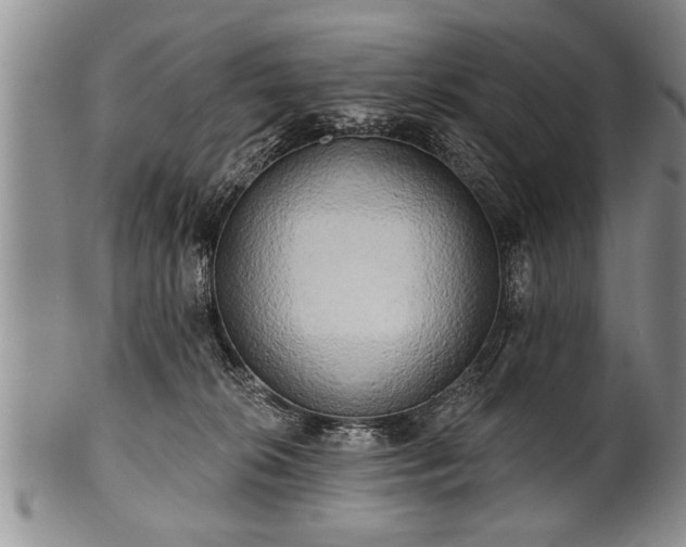 X0000100780276200806261636