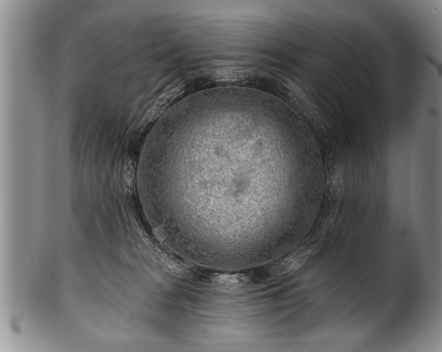 X0000100780277200806261636