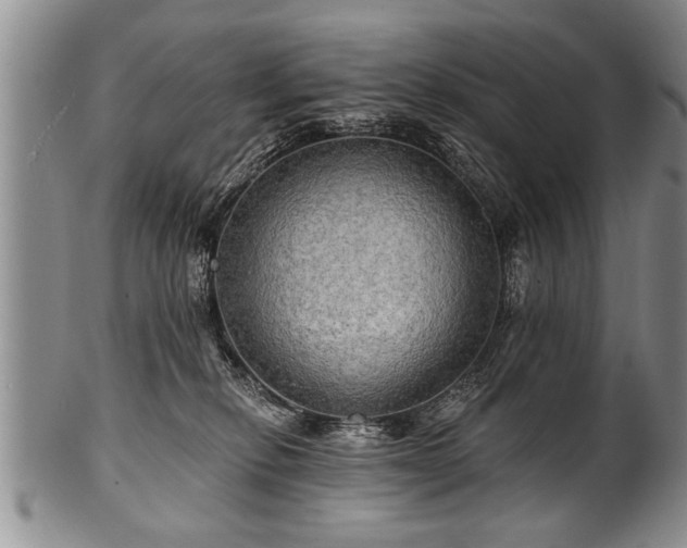 X0000100780278200806261636