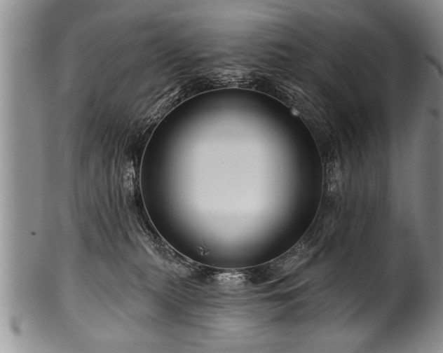 X0000100780279200806261636