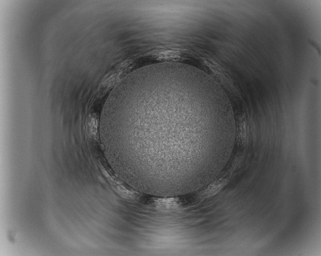 X0000100780281200806261636