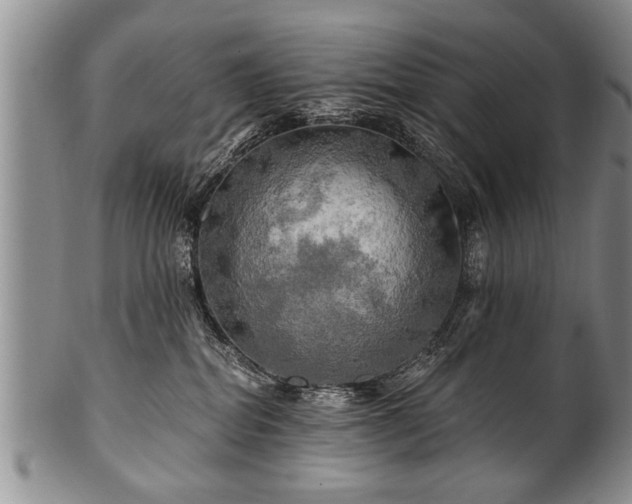 X0000100780282200806261636