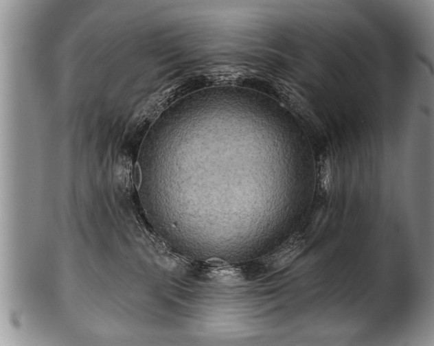 X0000100780283200806261636