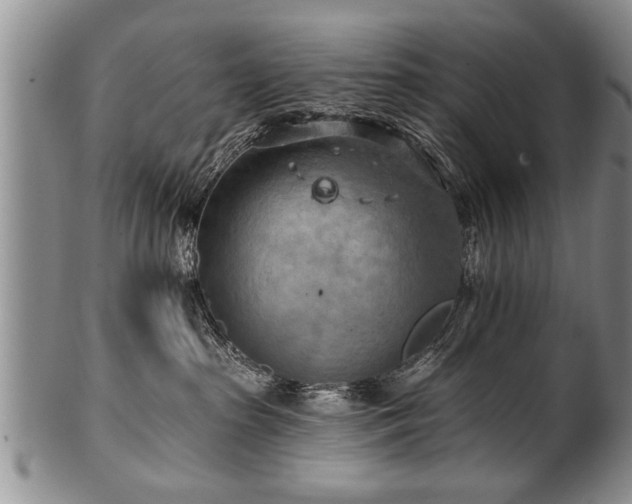 X0000100780285200806261636