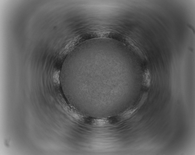 X0000100780286200806261636