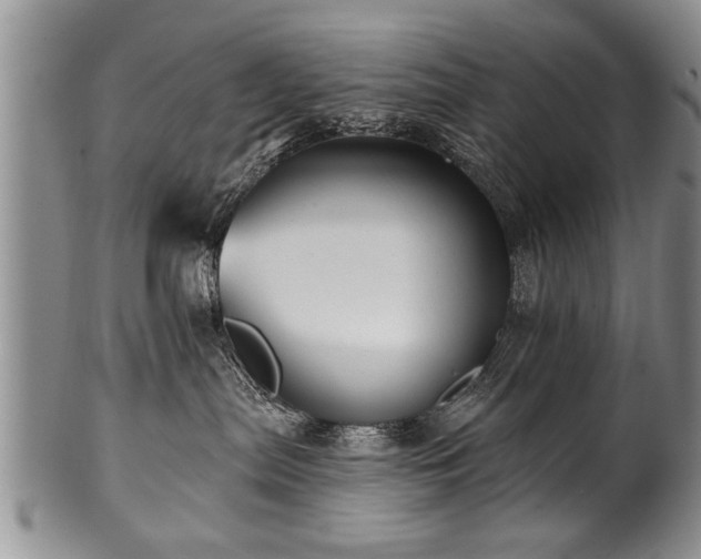 X0000100780287200806261636