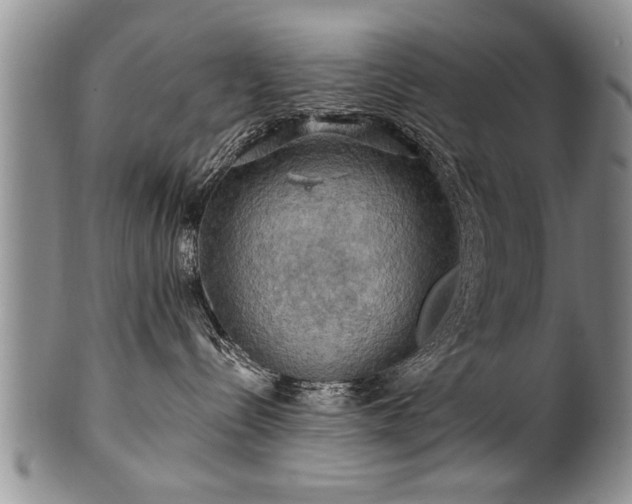 X0000100780288200806261636