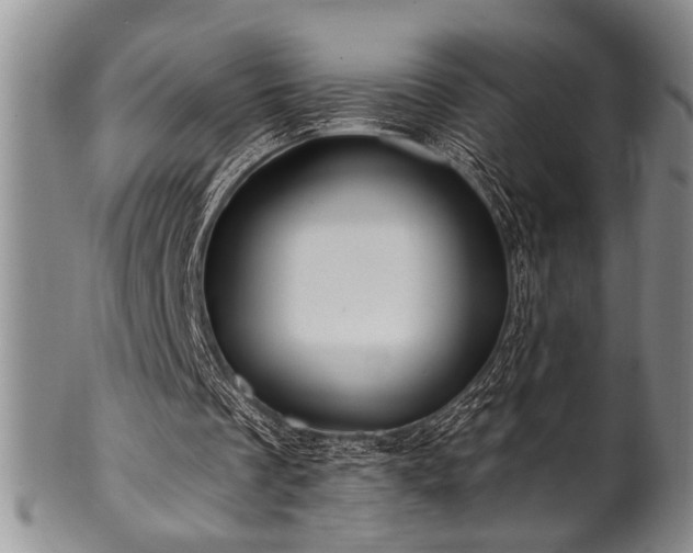 X0000100780289200806261635