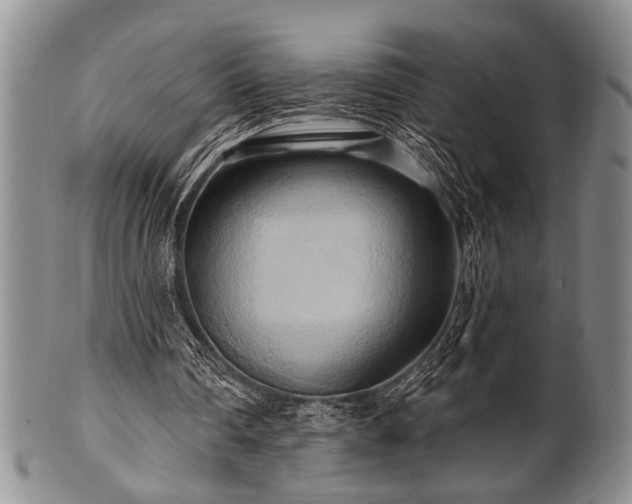 X0000100780290200806261635